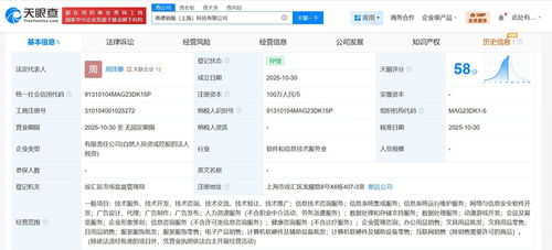 高德在上海成立銷服科技公司，注冊(cè)資本100萬，聚焦信息技術(shù)咨詢服務(wù)
