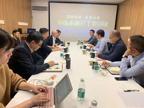 強(qiáng)化服務(wù)產(chǎn)品，打造卓越創(chuàng)新性科技服務(wù)機(jī)構(gòu) 信息技術(shù)咨詢服務(wù)的核心競爭力構(gòu)建