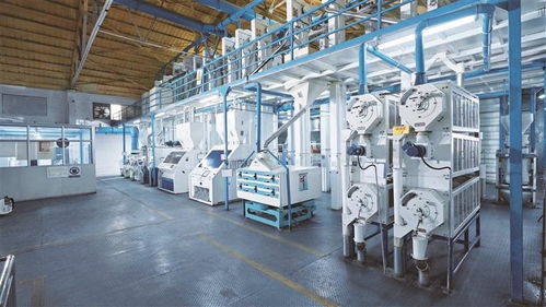 盛寶盛妝亮相深圳博覽會 科技賦能高端食品與農產品新未來