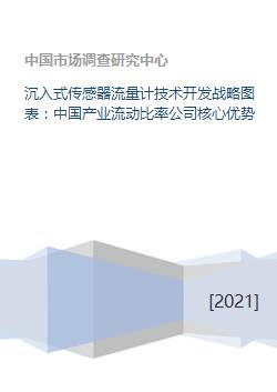 沉入式傳感器流量計(jì)技術(shù)開發(fā)戰(zhàn)略與中國產(chǎn)業(yè)流動比率公司核心優(yōu)勢分析